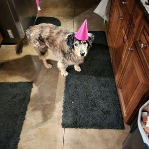 Meet your Posher, Kaye